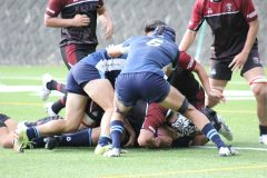IMG_0081