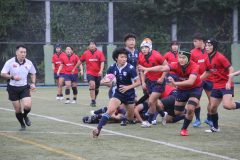 新井
