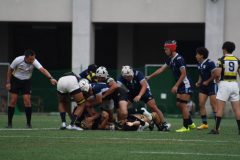 LINE_ALBUM_東京農業大学_250613_3